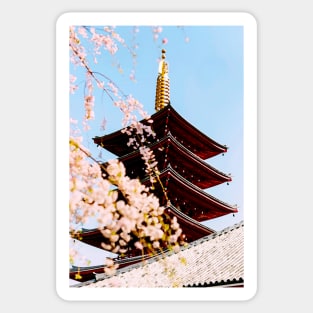 Japan - 'Sakura Temple' Sticker